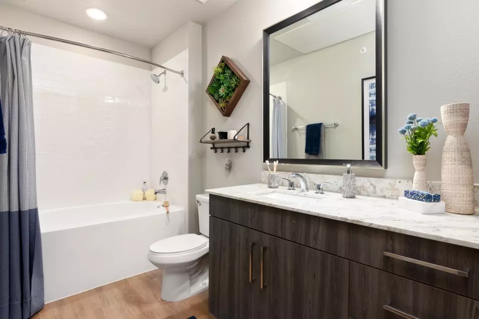  23550 Northgate Crossing Blvd #264, Spring, TX 77373 photo 27