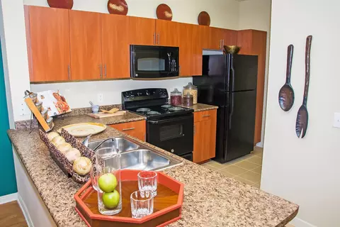 630 Colony Lake Estates Dr #0911, Stafford, TX 77477