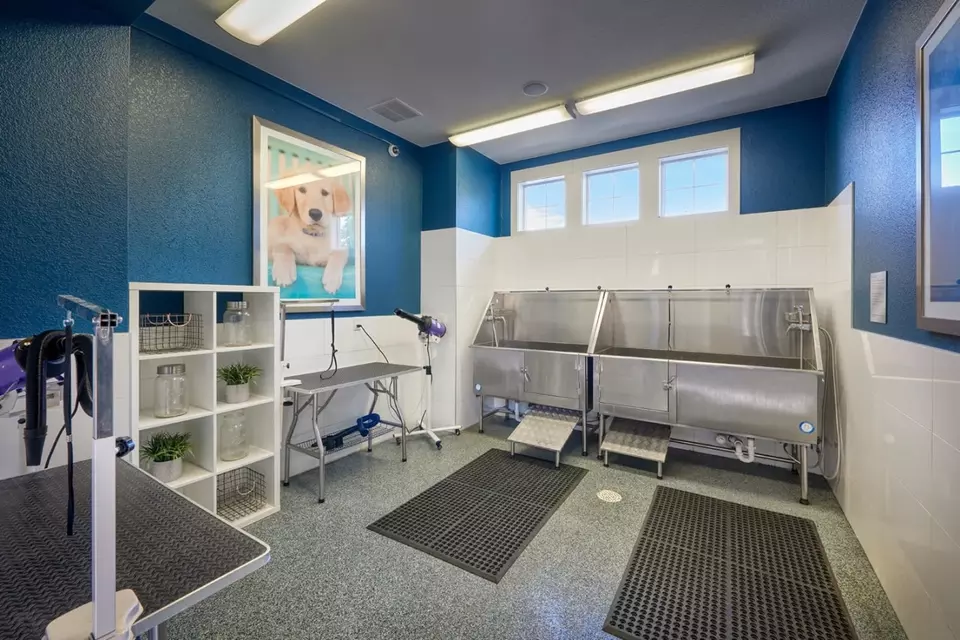  10550 E Iowa Ave #AUCPLL, Aurora, CO 80012 photo 20