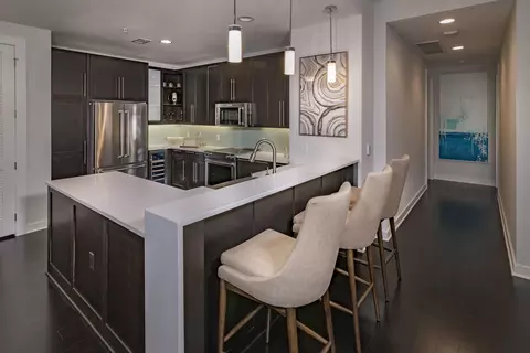 1111 Rusk St #317, Houston, TX 77002