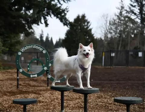 1805 186th Pl SE #E-301, Bothell, WA 98012 photo 14