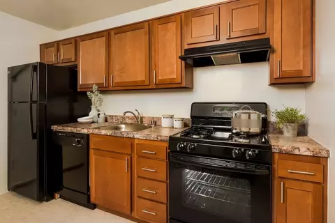 2445 Lyttonsville Rd #1-1002, Silver Spring, MD 20910 photo 8