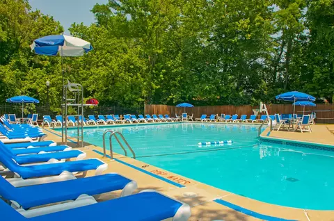 2445 Lyttonsville Rd #1-1002, Silver Spring, MD 20910 photo 10