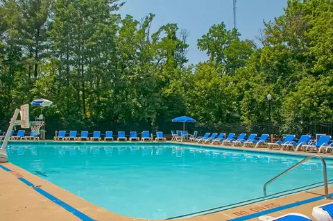 2445 Lyttonsville Rd #1-1002, Silver Spring, MD 20910 photo 11
