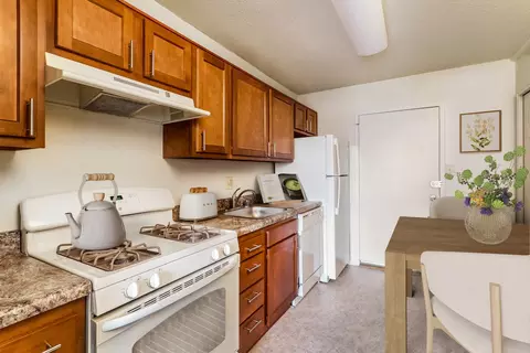 2445 Lyttonsville Rd #1-1002, Silver Spring, MD 20910 photo 7