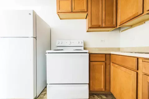 6923 S Indiana Ave #13907B52, Chicago, IL 60637