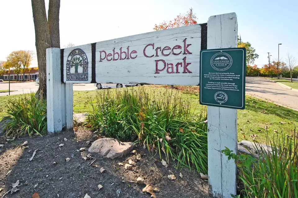  26601 W Carnegie Park Dr #WAITC2D, Southfield, MI 48034 photo 43