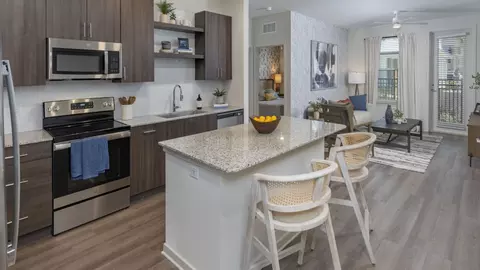 6401 Emmy Ln #211, Wesley Chapel, FL 33544
