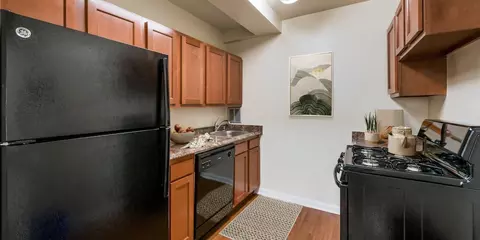 816 Easley St #1-0525, Silver Spring, MD 20910 photo 8