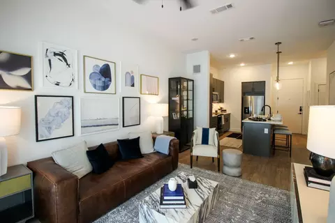 1710 N Beckley Ave #2215, Dallas, TX 75203