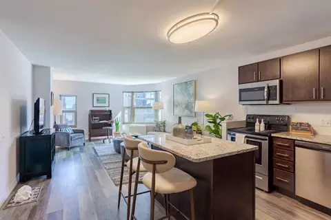 8 W Chestnut St #29A, Chicago, IL 60610