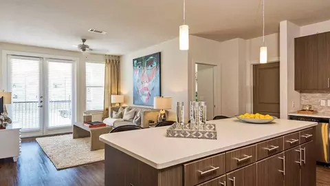 302 Cobia Dr #14101, Katy, TX 77494