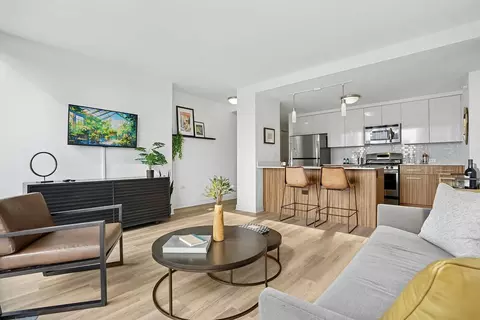 343 W Wolf Point Plz #2204, Chicago, IL 60654