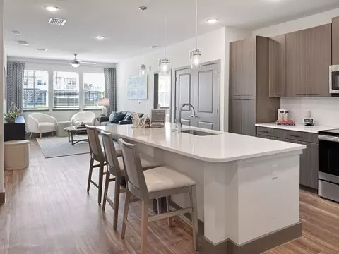 751 W Oakland Ave #1207, Oakland, FL 34760