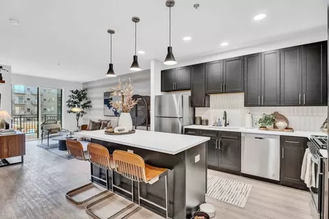 519 Lawrence Ave #208, Roselle, IL 60172