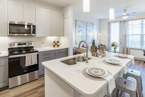20510 Cypress Plaza Pkwy #03201, Cypress, TX 77433