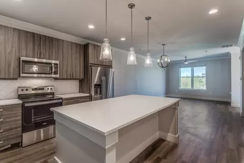 3600 Windhaven Pkwy #1401, Lewisville, TX 75056