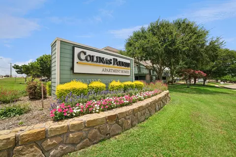 4300 Rainier St #1113, Irving, TX 75062