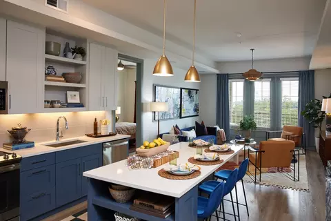 13460 Lyndhurst St #4046, Austin, TX 78717
