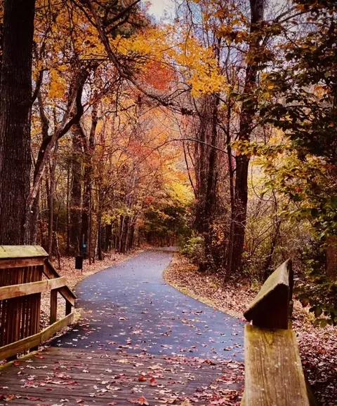 2408 Duck Pond Cir #HM-2218H, Morrisville, NC 27560