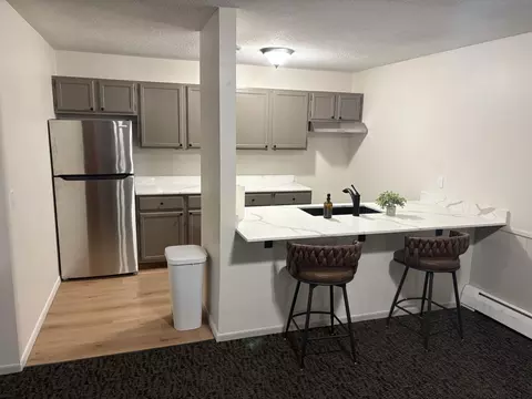 4601 Shoreline Dr #101, Spring Park, MN 55384 photo 21