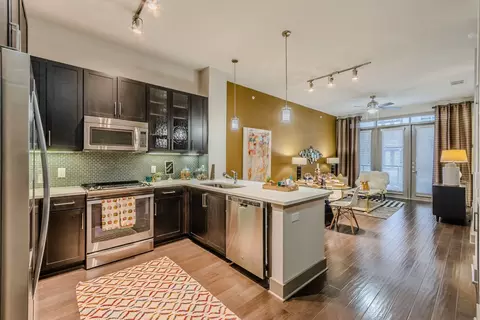 1250 State St #1413, Richardson, TX 75082