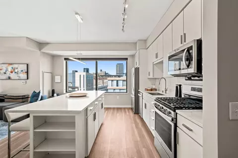 365 Nicollet Mall #1709, Minneapolis, MN 55401