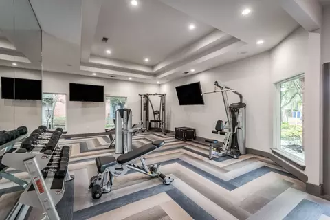 1475 Sawdust Rd #9205, The Woodlands, TX 77380