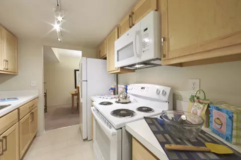 33203 N Manor Dr #0213, Farmington, MI 48336