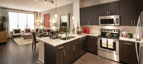 101 W 5th St #4056, Tempe, AZ 85281
