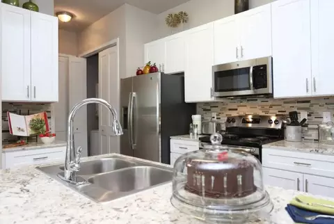 4920 Magnolia Cove Dr #5302, Houston, TX 77345