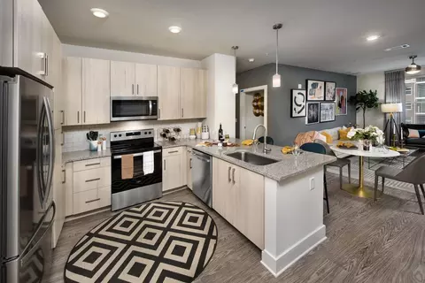 1630 Peachtree Industrial Blvd #2504, Suwanee, GA 30024