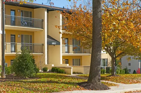 10898 Bucknell Dr #313, Silver Spring, MD 20902 photo 2