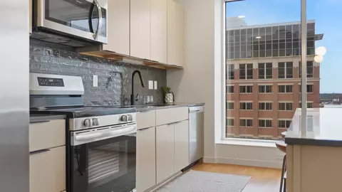 386 Wabasha St N #1201, Saint Paul, MN 55102