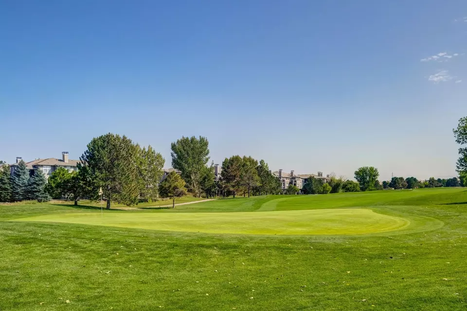  8857 Creekside Way #0432, Highlands Ranch, CO 80129 photo 21
