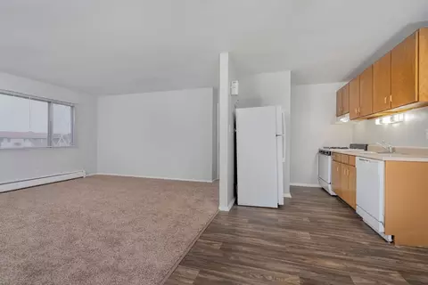 725 W Bode Cir #601-101, Hoffman Estates, IL 60169 photo 19