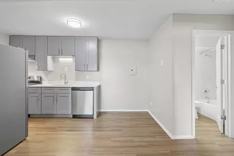 725 W Bode Cir #601-101, Hoffman Estates, IL 60169 photo 12