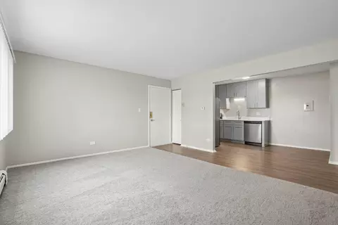 725 W Bode Cir #601-101, Hoffman Estates, IL 60169 photo 9
