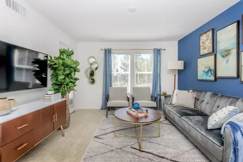 1 Mcgwire Rd #268, Ladera Ranch, CA 92694 photo 13