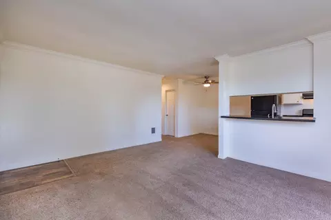 924 Encinitas Blvd #2, Encinitas, CA 92024 photo 17