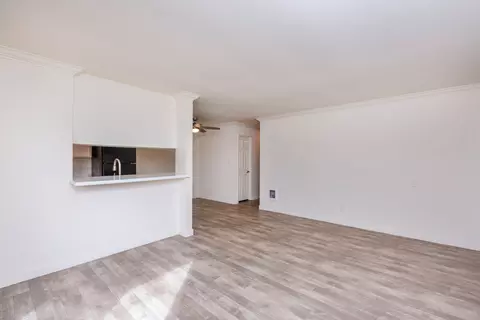 924 Encinitas Blvd #2, Encinitas, CA 92024 photo 9