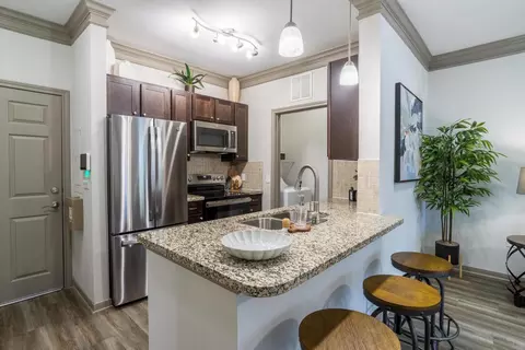 1805 S Egret Bay Blvd #0802, League City, TX 77573