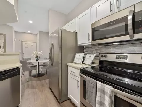 9955 Buffalo Speedway #20206, Houston, TX 77054