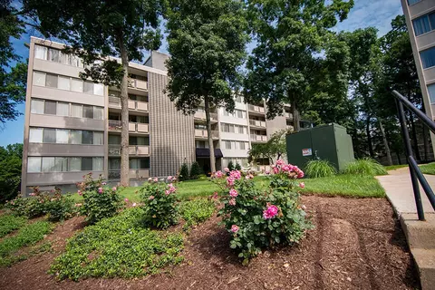 1818 Metzerott Rd #1810017, Adelphi, MD 20783 photo 17