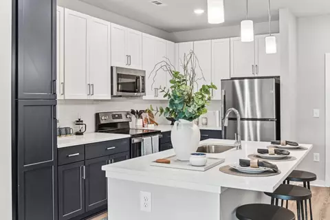 12015 Accent Berkeley Ct #204, Charlotte, NC 28262