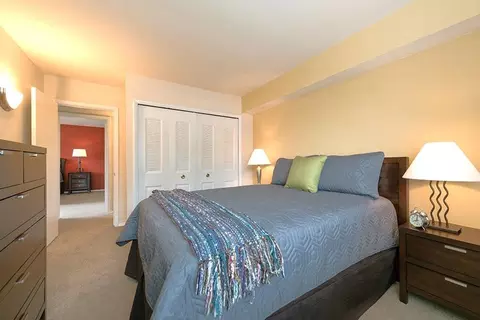 2535 Ross Rd #2448-201, Silver Spring, MD 20910 photo 9