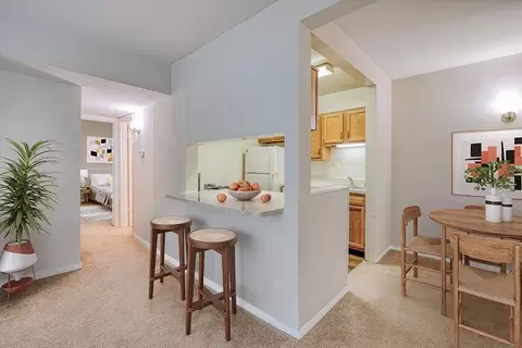 2535 Ross Rd #2448-201, Silver Spring, MD 20910 photo 3