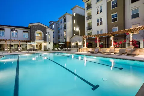 1251 Merry Loop #228, Milpitas, CA 95035 photo 43