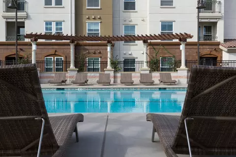 1251 Merry Loop #228, Milpitas, CA 95035 photo 31