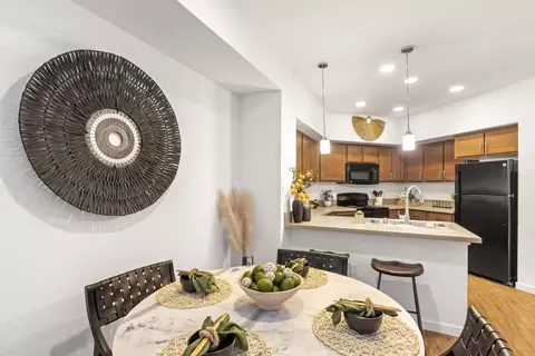1251 Merry Loop #228, Milpitas, CA 95035 photo 12